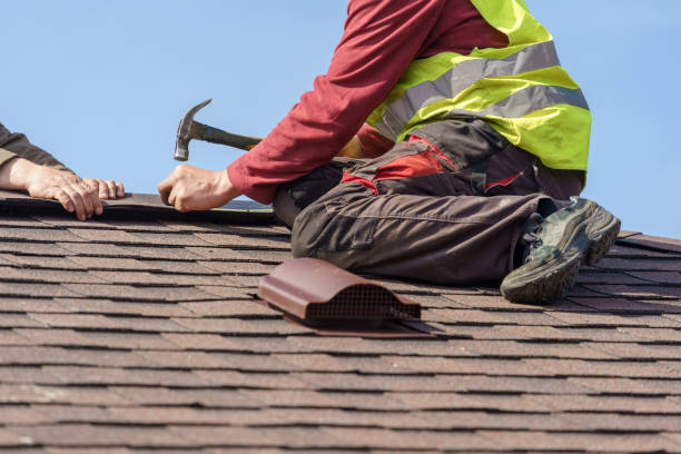 Best Metal Roofing Contractor  in Walnut, IL