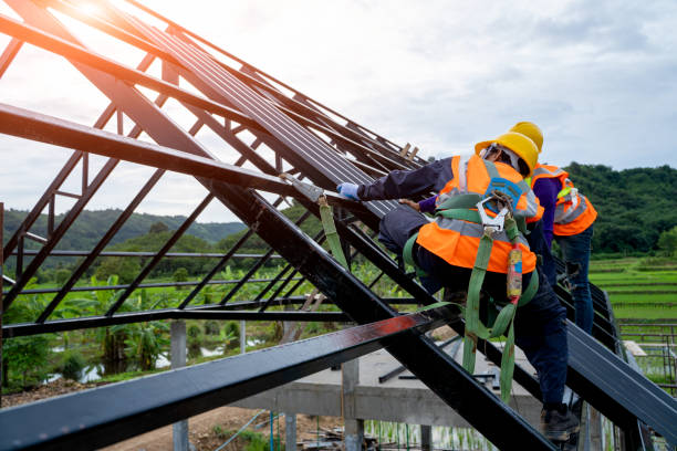 Best New Roof Installation  in Walnut, IL