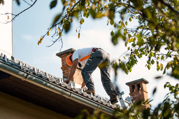 Reliable Walnut, IL Roofing Contractor Solutions