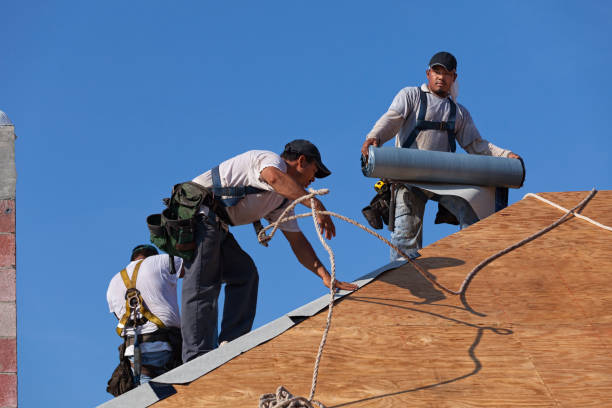Best Flat Roof Repair Services  in Walnut, IL