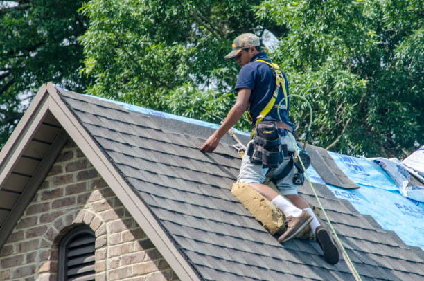 Quick and Trustworthy Emergency Roof Repair Services in Walnut, IL